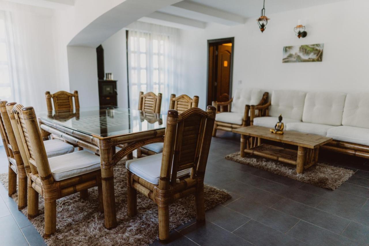 Vila Alsace Podu' Cu Lanturi Bacău Exteriér fotografie