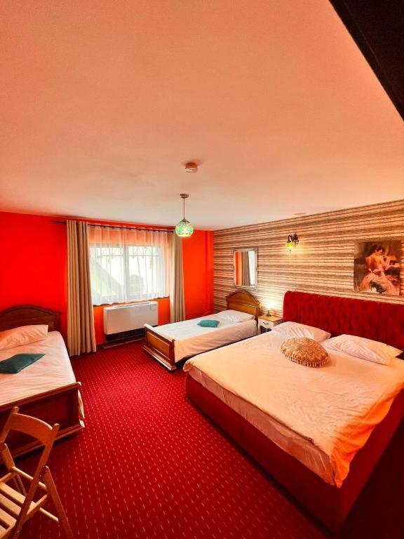Hotel Vila Alsace Podu' Cu Lanturi Bacău Exteriér fotografie